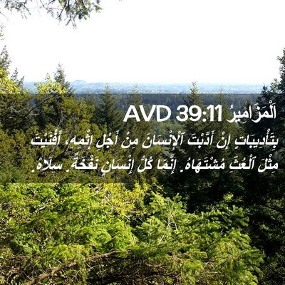 Picture 02 - اَلْمَزَامِيرُ 39:11 AVD - بِتَأْدِيبَاتٍ إِنْ - Bible Verse Picture