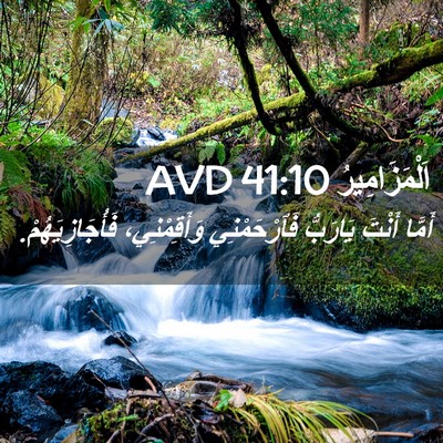 Picture 02 - اَلْمَزَامِيرُ 41:10 AVD - أَمَّا أَنْتَ يَارَبُّ - Bible Verse Picture