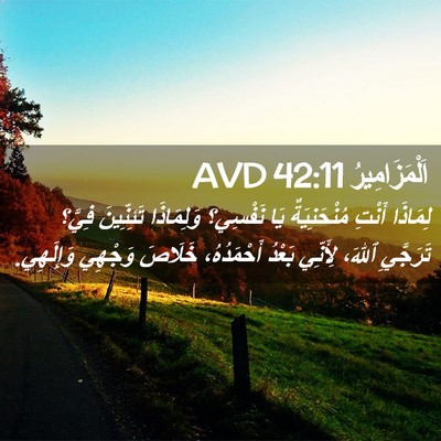 Picture 02 - اَلْمَزَامِيرُ 42:11 AVD - لِمَاذَا أَنْتِ - Bible Verse Picture