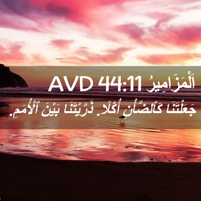 Picture 02 - اَلْمَزَامِيرُ 44:11 AVD - جَعَلْتَنَا كَٱلضَّأْنِ - Bible Verse Picture