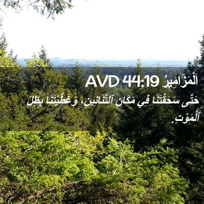 Picture 02 - اَلْمَزَامِيرُ 44:19 AVD - حَتَّى سَحَقْتَنَا فِي - Bible Verse Picture