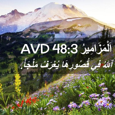 Picture 02 - اَلْمَزَامِيرُ 48:3 AVD - ٱللهُ فِي قُصُورِهَا - Bible Verse Picture