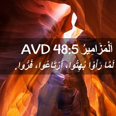 Picture 02 - اَلْمَزَامِيرُ 48:5 AVD - لَمَّا رَأَوْا بُهِتُوا، - Bible Verse Picture