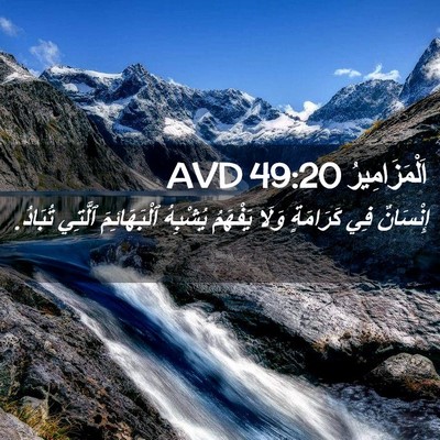 Picture 02 - اَلْمَزَامِيرُ 49:20 AVD - إِنْسَانٌ فِي كَرَامَةٍ - Bible Verse Picture