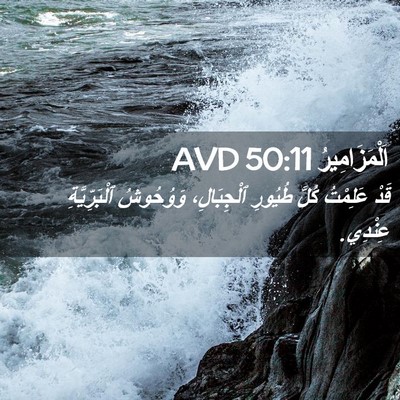 Picture 02 - اَلْمَزَامِيرُ 50:11 AVD - قَدْ عَلِمْتُ كُلَّ - Bible Verse Picture