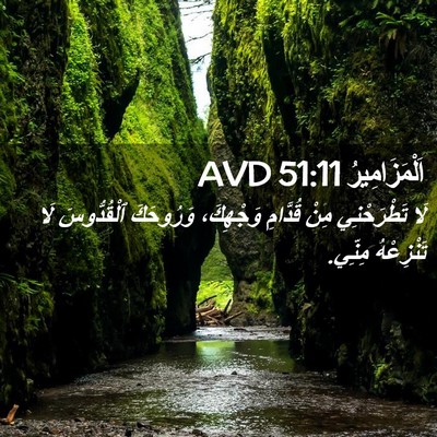 Picture 02 - اَلْمَزَامِيرُ 51:11 AVD - لَا تَطْرَحْنِي مِنْ - Bible Verse Picture