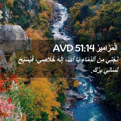 Picture 02 - اَلْمَزَامِيرُ 51:14 AVD - نَجِّنِي مِنَ ٱلدِّمَاءِ - Bible Verse Picture