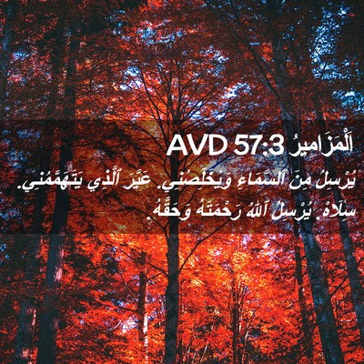 Picture 02 - اَلْمَزَامِيرُ 57:3 AVD - يُرْسِلُ مِنَ ٱلسَّمَاءِ - Bible Verse Picture