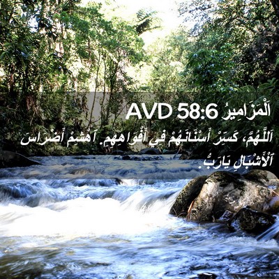 Picture 02 - اَلْمَزَامِيرُ 58:6 AVD - اَللَّهُمَّ، كَسِّرْ - Bible Verse Picture