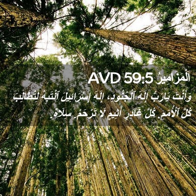 Picture 02 - اَلْمَزَامِيرُ 59:5 AVD - وَأَنْتَ يَارَبُّ إِلَهَ - Bible Verse Picture