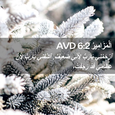 Picture 02 - اَلْمَزَامِيرُ 6:2 AVD - ٱرْحَمْنِي يَارَبُّ - Bible Verse Picture