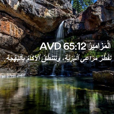 Picture 02 - اَلْمَزَامِيرُ 65:12 AVD - تَقْطُرُ مَرَاعِي - Bible Verse Picture