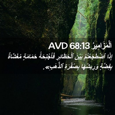 Picture 02 - اَلْمَزَامِيرُ 68:13 AVD - إِذَا ٱضْطَجَعْتُمْ - Bible Verse Picture