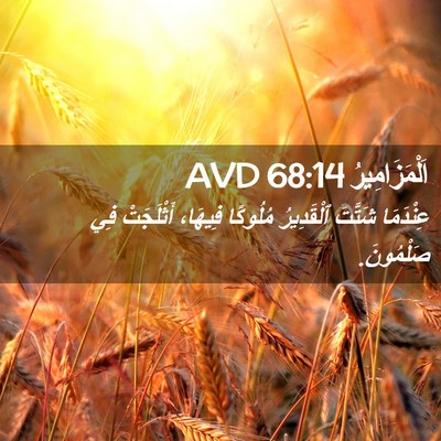 Picture 02 - اَلْمَزَامِيرُ 68:14 AVD - عِنْدَمَا شَتَّتَ - Bible Verse Picture