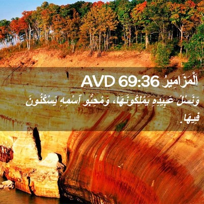Picture 02 - اَلْمَزَامِيرُ 69:36 AVD - وَنَسْلُ عَبِيدِهِ - Bible Verse Picture