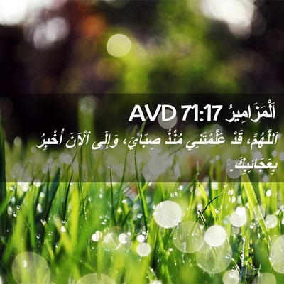 Picture 02 - اَلْمَزَامِيرُ 71:17 AVD - اَللَّهُمَّ، قَدْ - Bible Verse Picture