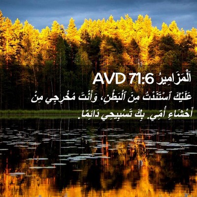 Picture 02 - اَلْمَزَامِيرُ 71:6 AVD - عَلَيْكَ ٱسْتَنَدْتُ مِنَ - Bible Verse Picture