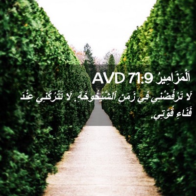 Picture 02 - اَلْمَزَامِيرُ 71:9 AVD - لَا تَرْفُضْنِي فِي زَمَنِ - Bible Verse Picture