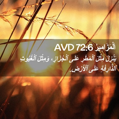 Picture 02 - اَلْمَزَامِيرُ 72:6 AVD - يَنْزِلُ مِثْلَ ٱلْمَطَرِ - Bible Verse Picture