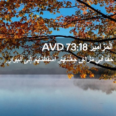 Picture 02 - اَلْمَزَامِيرُ 73:18 AVD - حَقًّا فِي مَزَالِقَ - Bible Verse Picture