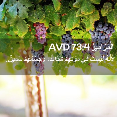 Picture 02 - اَلْمَزَامِيرُ 73:4 AVD - لِأَنَّهُ لَيْسَتْ فِي - Bible Verse Picture