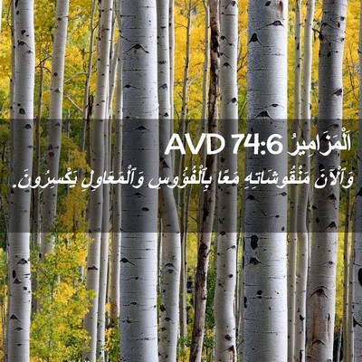 Picture 02 - اَلْمَزَامِيرُ 74:6 AVD - وَٱلْآنَ مَنْقُوشَاتِهِ - Bible Verse Picture