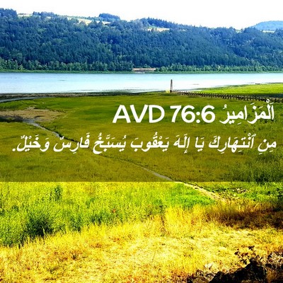 Picture 02 - اَلْمَزَامِيرُ 76:6 AVD - مِنِ ٱنْتِهَارِكَ يَا - Bible Verse Picture
