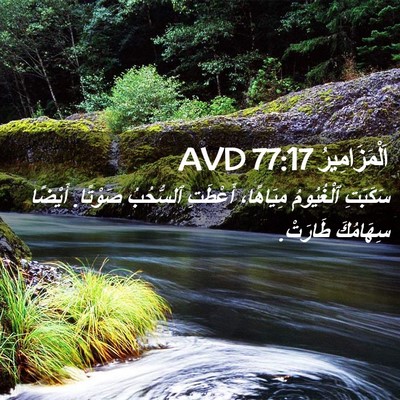 Picture 02 - اَلْمَزَامِيرُ 77:17 AVD - سَكَبَتِ ٱلْغُيُومُ - Bible Verse Picture