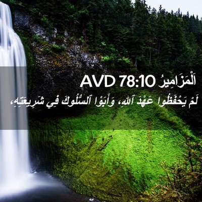 Picture 02 - اَلْمَزَامِيرُ 78:10 AVD - لَمْ يَحْفَظُوا عَهْدَ - Bible Verse Picture