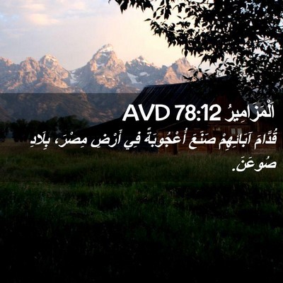 Picture 02 - اَلْمَزَامِيرُ 78:12 AVD - قُدَّامَ آبَائِهِمْ - Bible Verse Picture