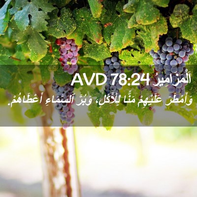 Picture 02 - اَلْمَزَامِيرُ 78:24 AVD - وَأَمْطَرَ عَلَيْهِمْ - Bible Verse Picture