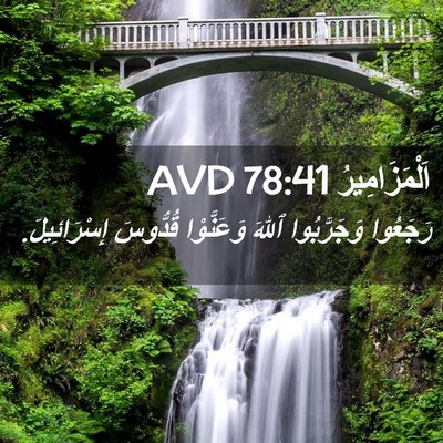 Picture 02 - اَلْمَزَامِيرُ 78:41 AVD - رَجَعُوا وَجَرَّبُوا - Bible Verse Picture