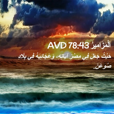 Picture 02 - اَلْمَزَامِيرُ 78:43 AVD - حَيْثُ جَعَلَ فِي مِصْرَ - Bible Verse Picture