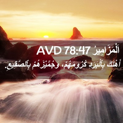 Picture 02 - اَلْمَزَامِيرُ 78:47 AVD - أَهْلَكَ بِٱلْبَرَدِ - Bible Verse Picture