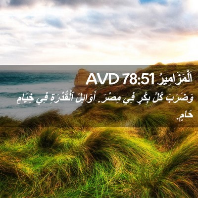 Picture 02 - اَلْمَزَامِيرُ 78:51 AVD - وَضَرَبَ كُلَّ بِكْرٍ فِي - Bible Verse Picture