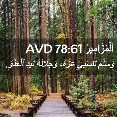 Picture 02 - اَلْمَزَامِيرُ 78:61 AVD - وَسَلَّمَ لِلسَّبْيِ - Bible Verse Picture