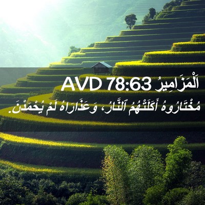 Picture 02 - اَلْمَزَامِيرُ 78:63 AVD - مُخْتَارُوهُ أَكَلَتْهُمُ - Bible Verse Picture