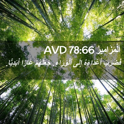 Picture 02 - اَلْمَزَامِيرُ 78:66 AVD - فَضَرَبَ أَعْدَاءَهُ - Bible Verse Picture