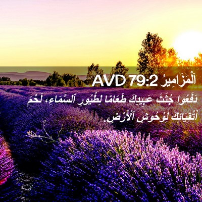 Picture 02 - اَلْمَزَامِيرُ 79:2 AVD - دَفَعُوا جُثَثَ عَبِيدِكَ - Bible Verse Picture