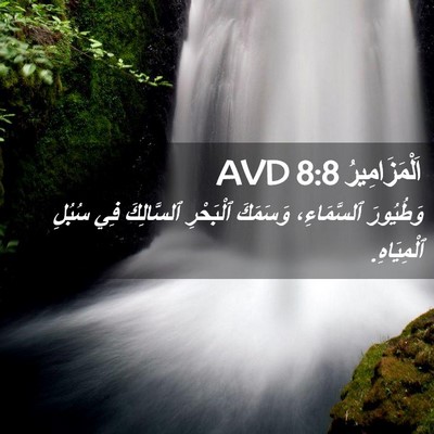 Picture 02 - اَلْمَزَامِيرُ 8:8 AVD - وَطُيُورَ ٱلسَّمَاءِ، - Bible Verse Picture