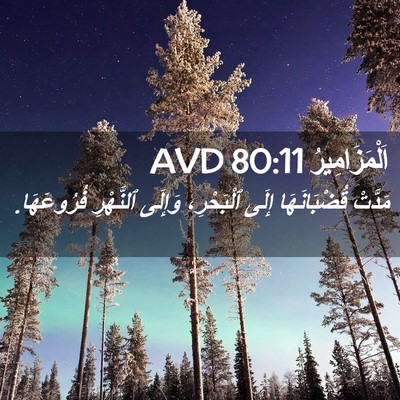 Picture 02 - اَلْمَزَامِيرُ 80:11 AVD - مَدَّتْ قُضْبَانَهَا - Bible Verse Picture