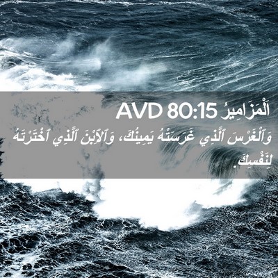 Picture 02 - اَلْمَزَامِيرُ 80:15 AVD - وَٱلْغَرْسَ ٱلَّذِي - Bible Verse Picture