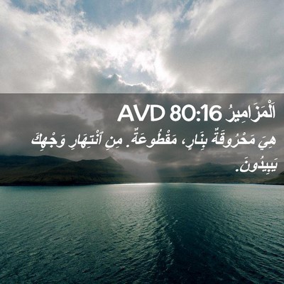 Picture 02 - اَلْمَزَامِيرُ 80:16 AVD - هِيَ مَحْرُوقَةٌ بِنَارٍ، - Bible Verse Picture
