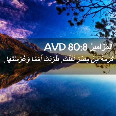 Picture 02 - اَلْمَزَامِيرُ 80:8 AVD - كَرْمَةً مِنْ مِصْرَ - Bible Verse Picture
