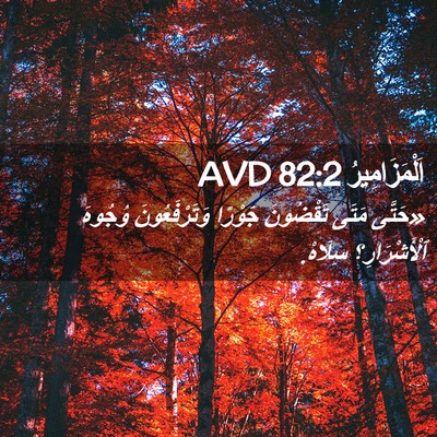 Picture 02 - اَلْمَزَامِيرُ 82:2 AVD - «حَتَّى مَتَى تَقْضُونَ - Bible Verse Picture