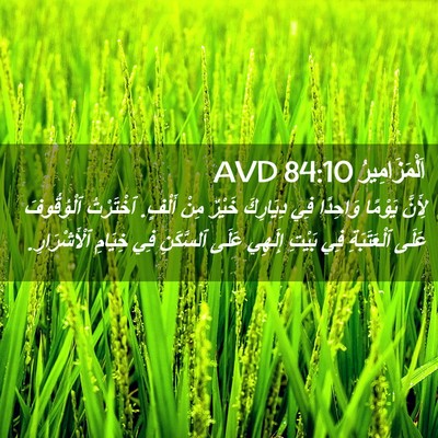 Picture 02 - اَلْمَزَامِيرُ 84:10 AVD - لِأَنَّ يَوْمًا وَاحِدًا - Bible Verse Picture