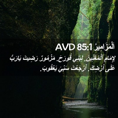 Picture 02 - اَلْمَزَامِيرُ 85:1 AVD - لِإِمَامِ ٱلْمُغَنِّينَ. - Bible Verse Picture