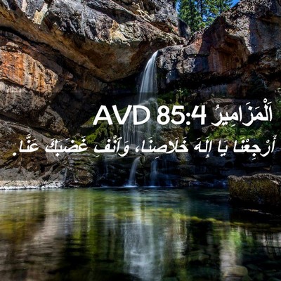 Picture 02 - اَلْمَزَامِيرُ 85:4 AVD - أَرْجِعْنَا يَا إِلَهَ - Bible Verse Picture