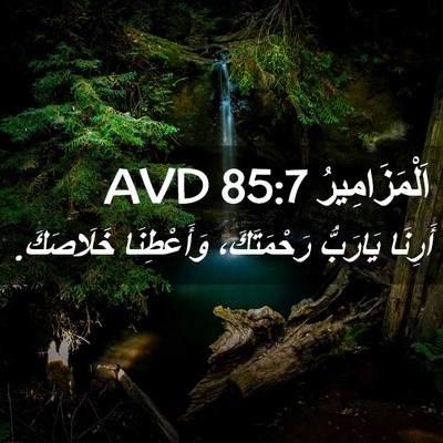Picture 02 - اَلْمَزَامِيرُ 85:7 AVD - أَرِنَا يَارَبُّ - Bible Verse Picture