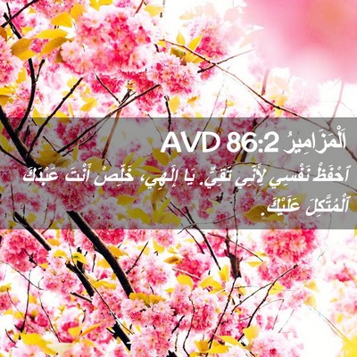 Picture 02 - اَلْمَزَامِيرُ 86:2 AVD - ٱحْفَظْ نَفْسِي لِأَنِّي - Bible Verse Picture